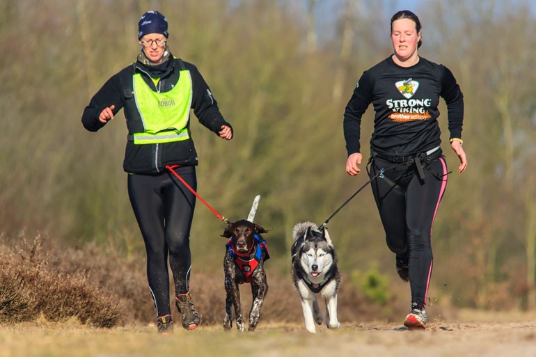 Le Canicross : oubliez les footings seul !