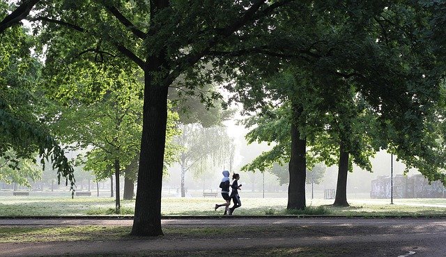 La Klamath, aliment incontournable des sportifs