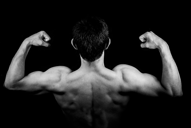Quels exercices pour muscler les épaules ?
