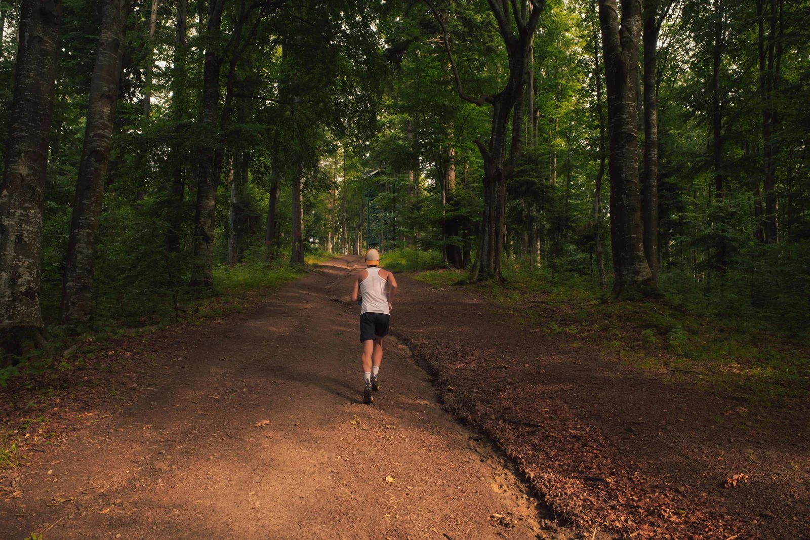 Coureur de dos sur un chemin forestier en montée pendant un entraînement 10 km