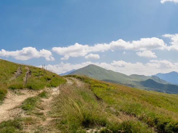 12 idées d&rsquo;activités en plein air