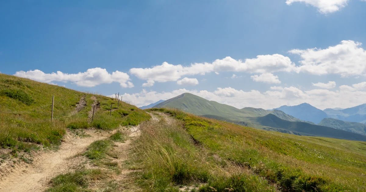 Randonneurs sur un sentier de montagne en été dans les Alpes suisses