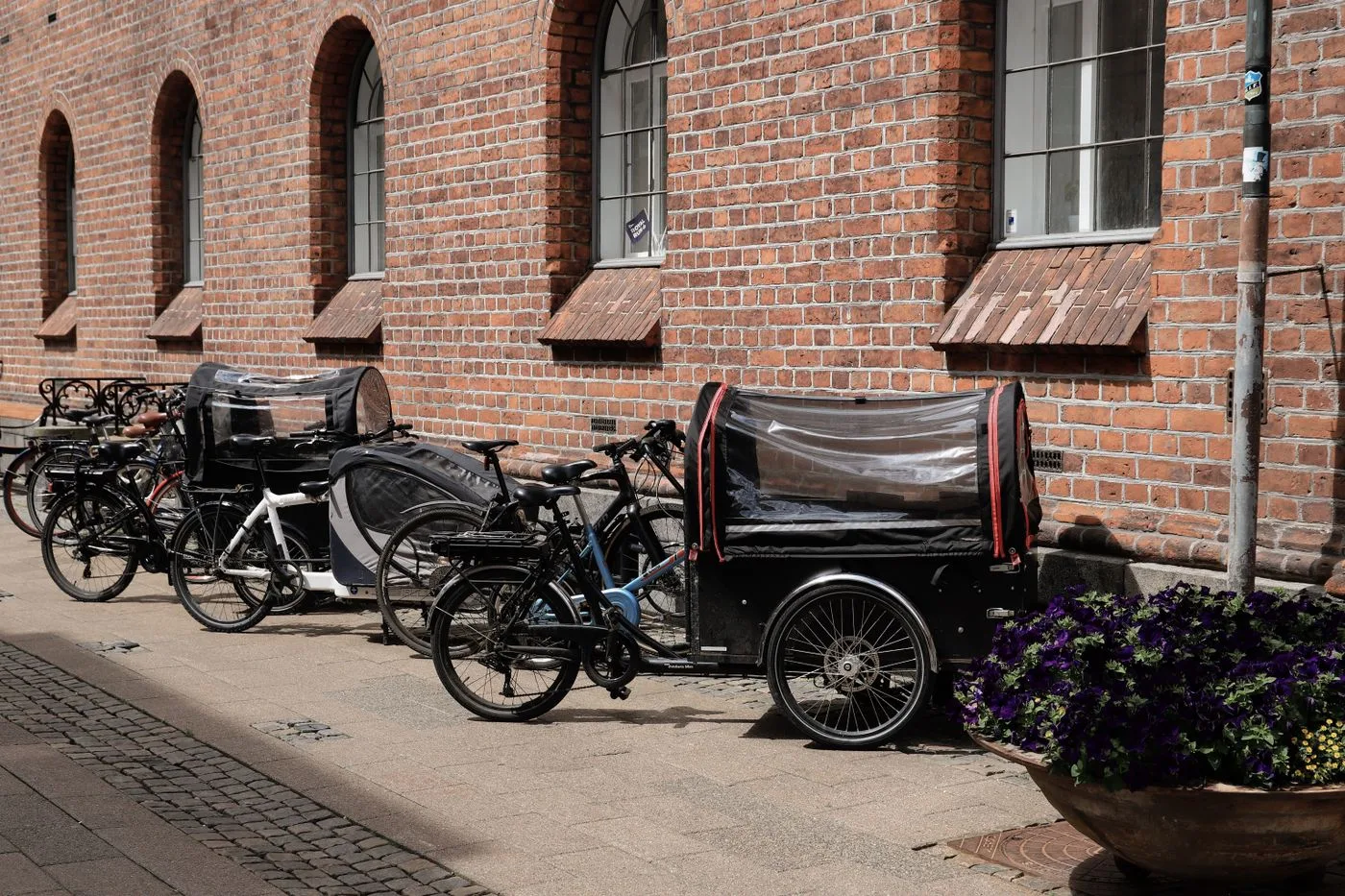 Triporteurs électriques garés devant un mur de brique